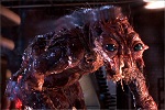 Magnets: The Fly